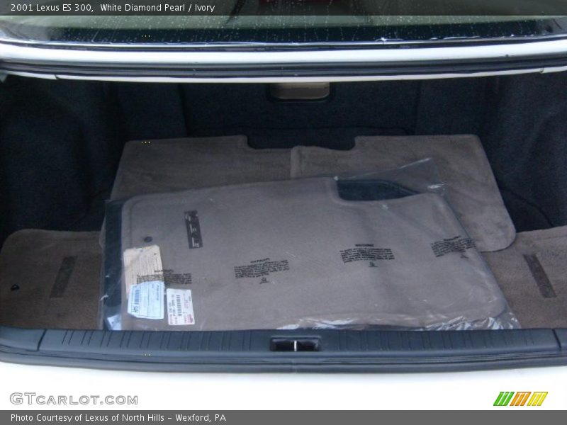 White Diamond Pearl / Ivory 2001 Lexus ES 300