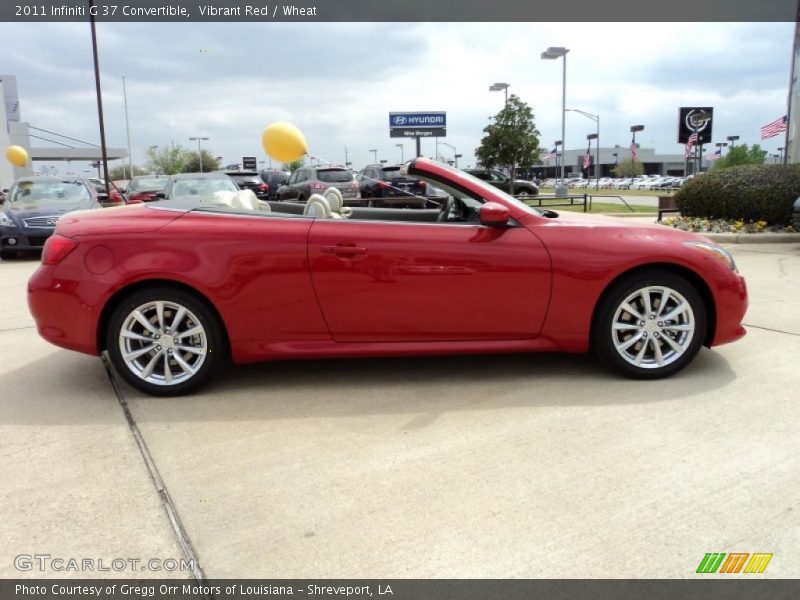  2011 G 37 Convertible Vibrant Red