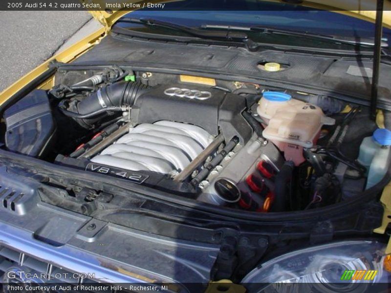  2005 S4 4.2 quattro Sedan Engine - 4.2 Liter DOHC 40-Valve V8