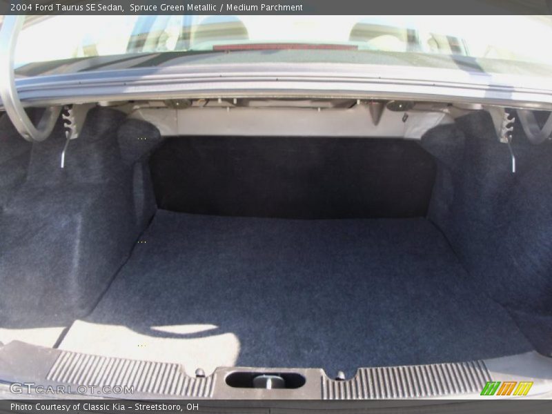 Spruce Green Metallic / Medium Parchment 2004 Ford Taurus SE Sedan