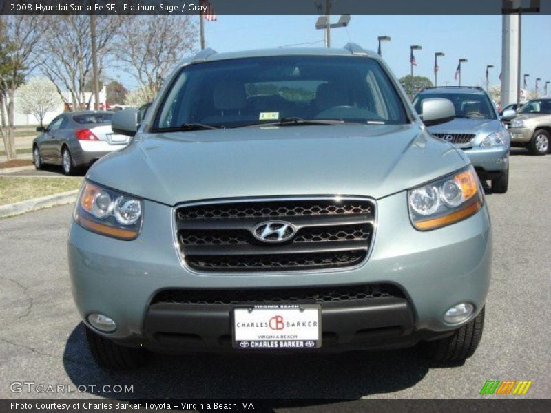 Platinum Sage / Gray 2008 Hyundai Santa Fe SE