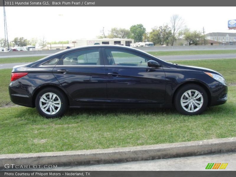 Black Plum Pearl / Camel 2011 Hyundai Sonata GLS