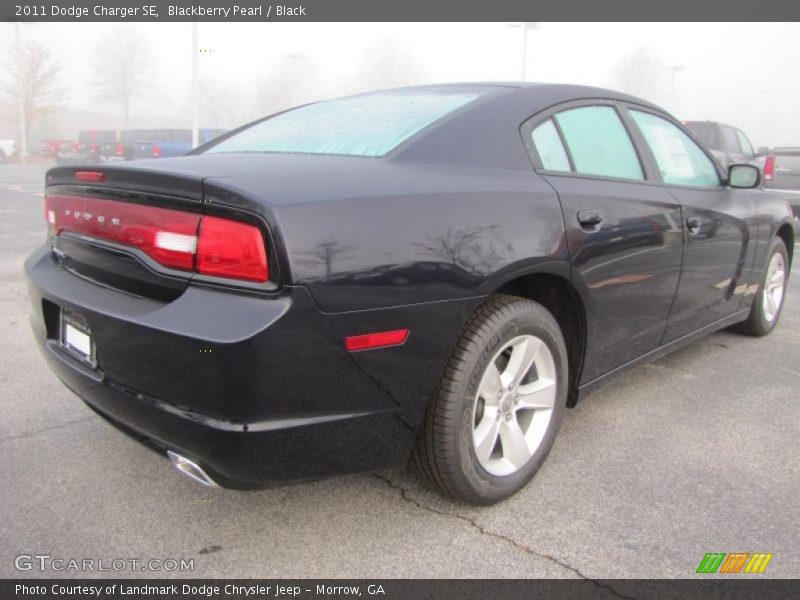 Blackberry Pearl / Black 2011 Dodge Charger SE