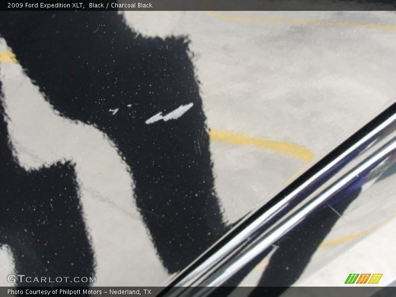 Black / Charcoal Black 2009 Ford Expedition XLT