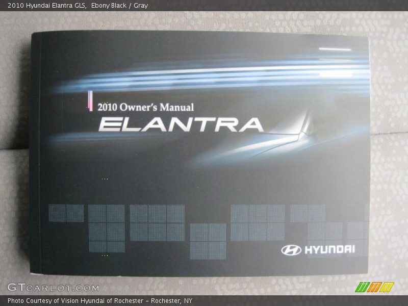 Ebony Black / Gray 2010 Hyundai Elantra GLS