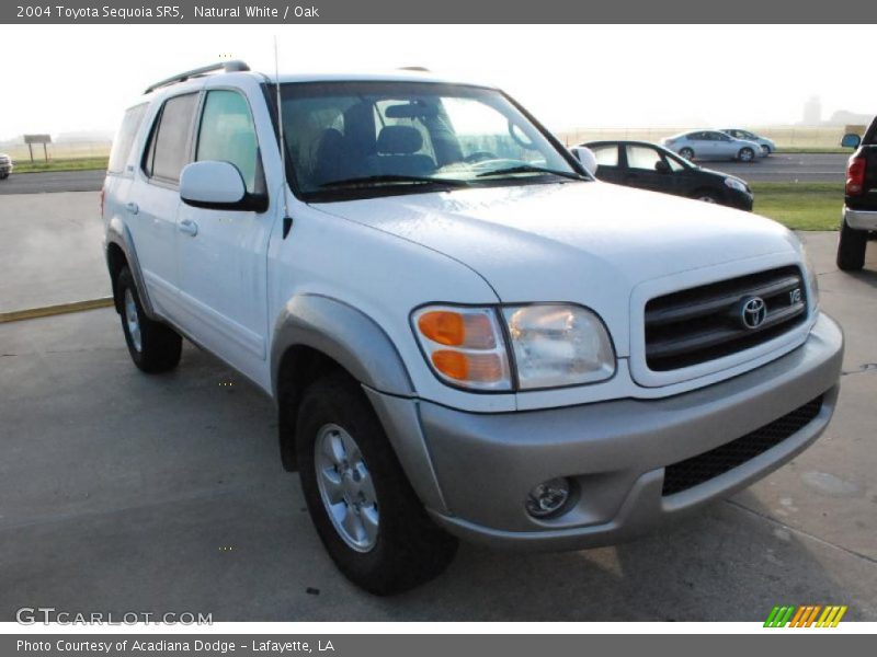 Natural White / Oak 2004 Toyota Sequoia SR5