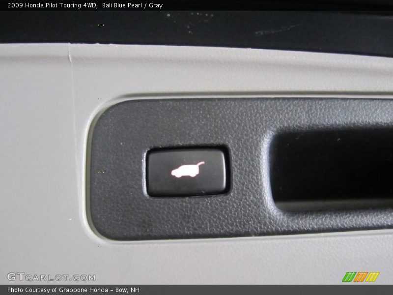 Bali Blue Pearl / Gray 2009 Honda Pilot Touring 4WD