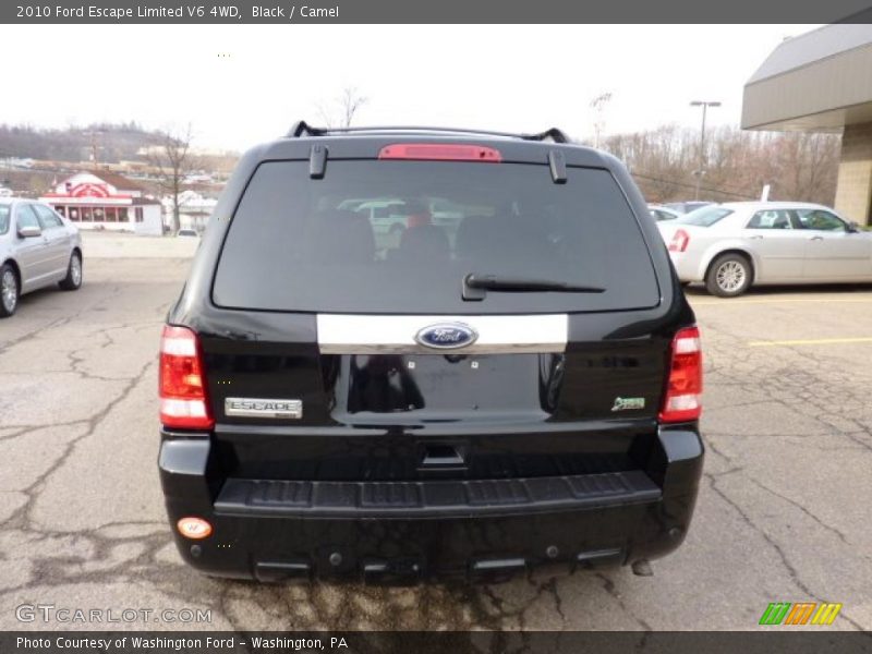 Black / Camel 2010 Ford Escape Limited V6 4WD