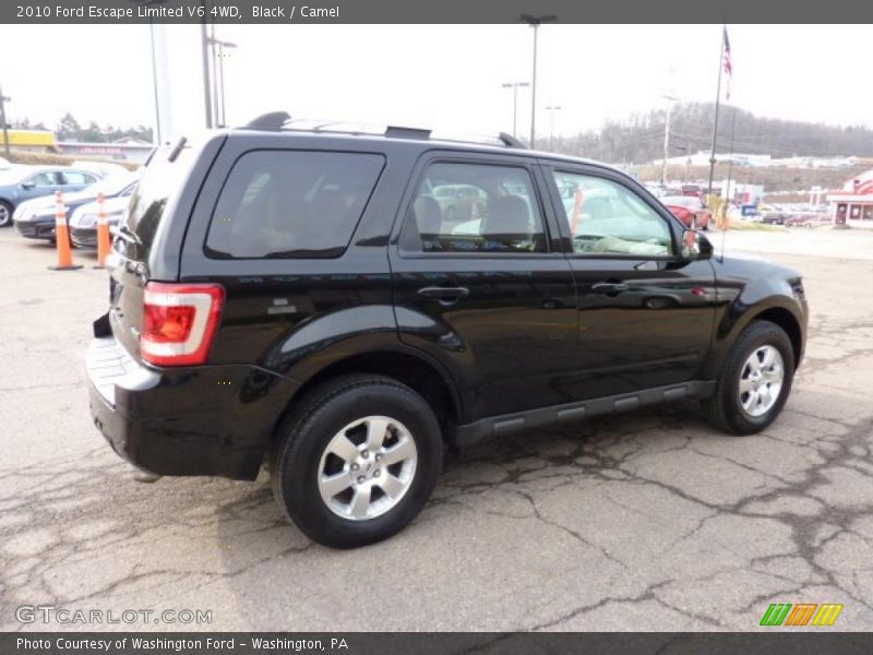 Black / Camel 2010 Ford Escape Limited V6 4WD