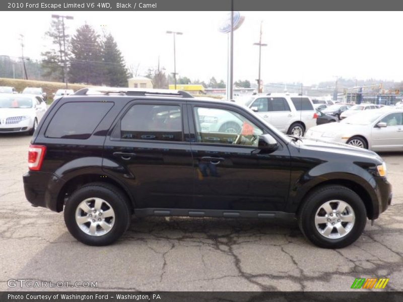 Black / Camel 2010 Ford Escape Limited V6 4WD