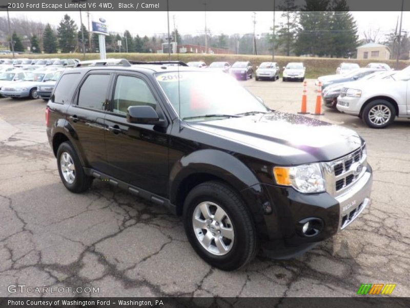 Black / Camel 2010 Ford Escape Limited V6 4WD