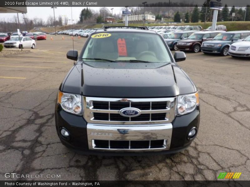 Black / Camel 2010 Ford Escape Limited V6 4WD