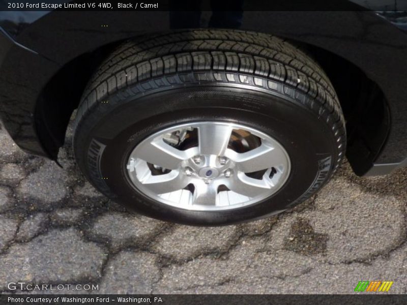 Black / Camel 2010 Ford Escape Limited V6 4WD