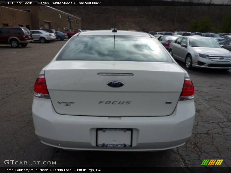 White Suede / Charcoal Black 2011 Ford Focus SE Sedan