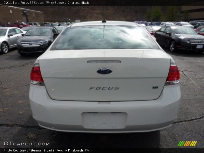 White Suede / Charcoal Black 2011 Ford Focus SE Sedan