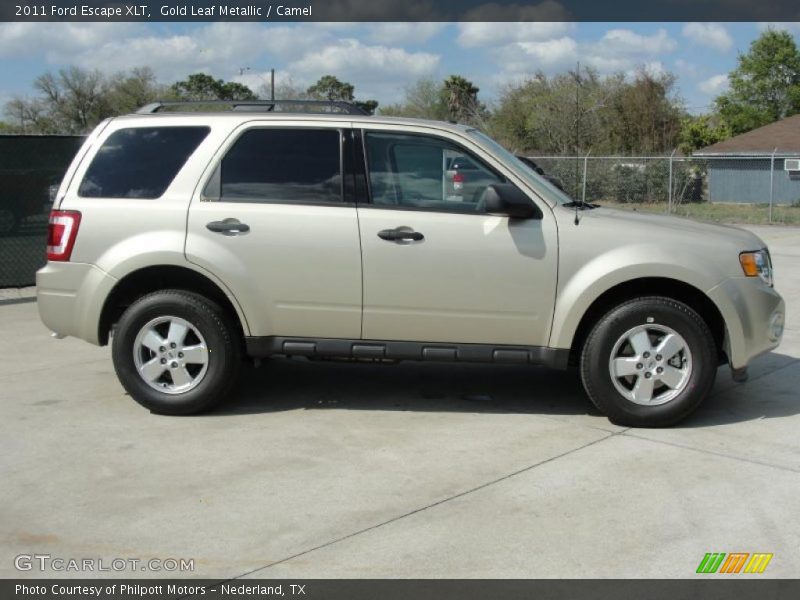 Gold Leaf Metallic / Camel 2011 Ford Escape XLT