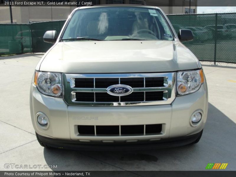 Gold Leaf Metallic / Camel 2011 Ford Escape XLT