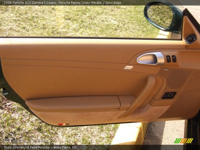 Door Panel of 2009 911 Carrera S Coupe
