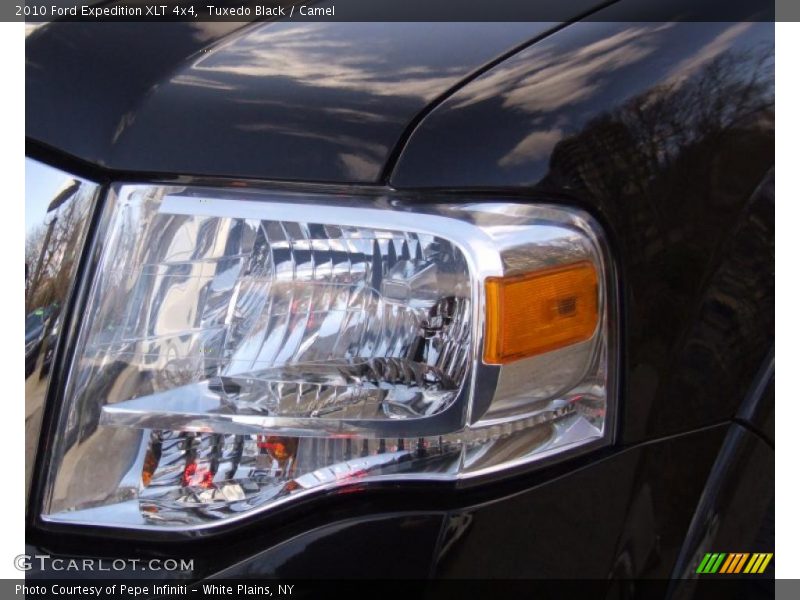 Tuxedo Black / Camel 2010 Ford Expedition XLT 4x4