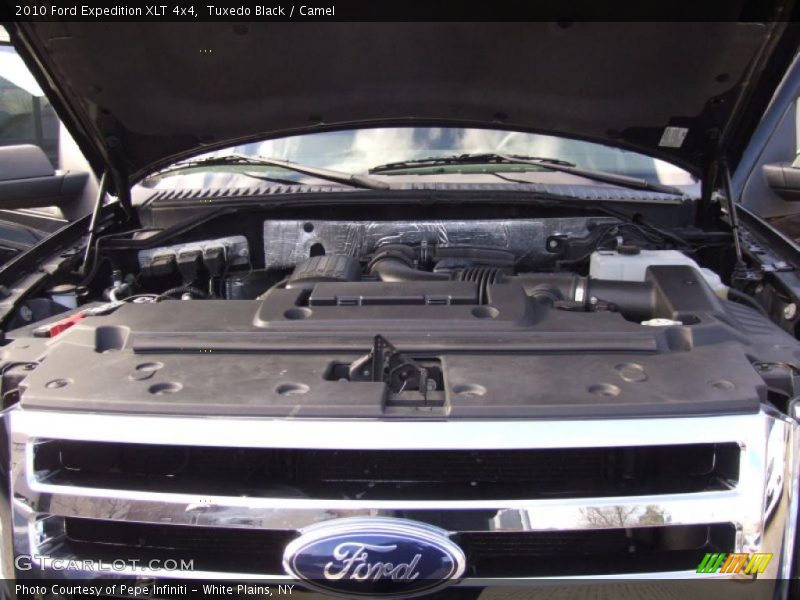 Tuxedo Black / Camel 2010 Ford Expedition XLT 4x4