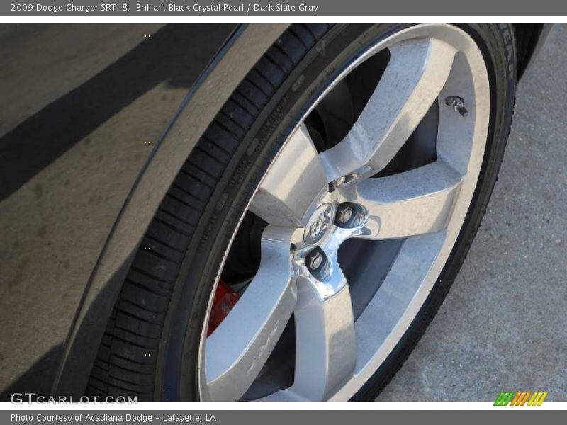 Brilliant Black Crystal Pearl / Dark Slate Gray 2009 Dodge Charger SRT-8