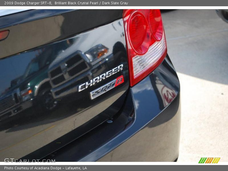  2009 Charger SRT-8 Logo