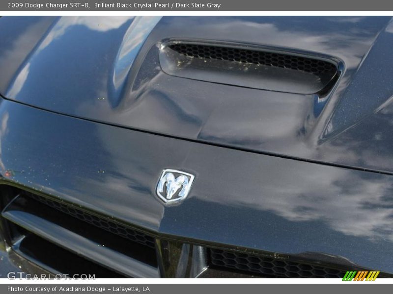  2009 Charger SRT-8 Logo
