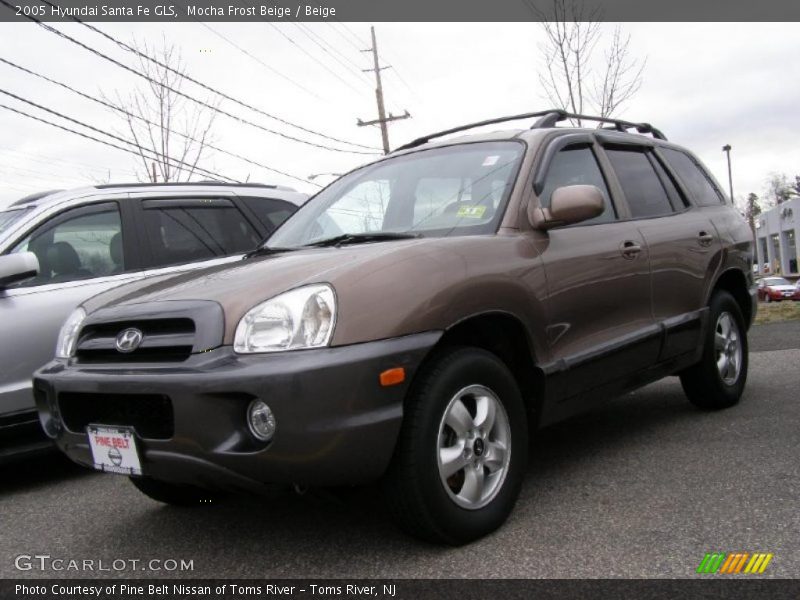 Mocha Frost Beige / Beige 2005 Hyundai Santa Fe GLS