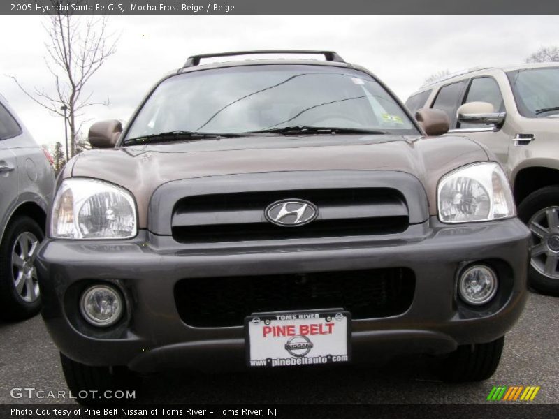 Mocha Frost Beige / Beige 2005 Hyundai Santa Fe GLS