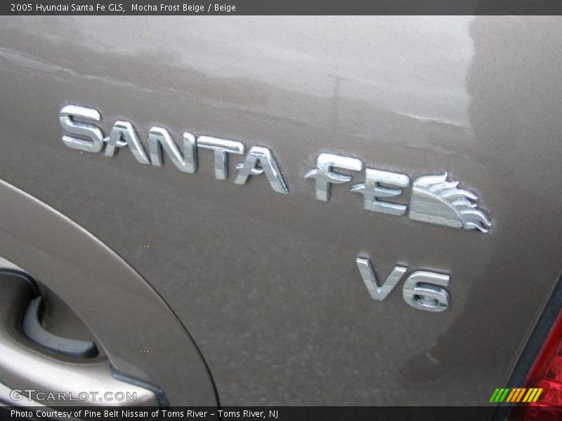 Mocha Frost Beige / Beige 2005 Hyundai Santa Fe GLS