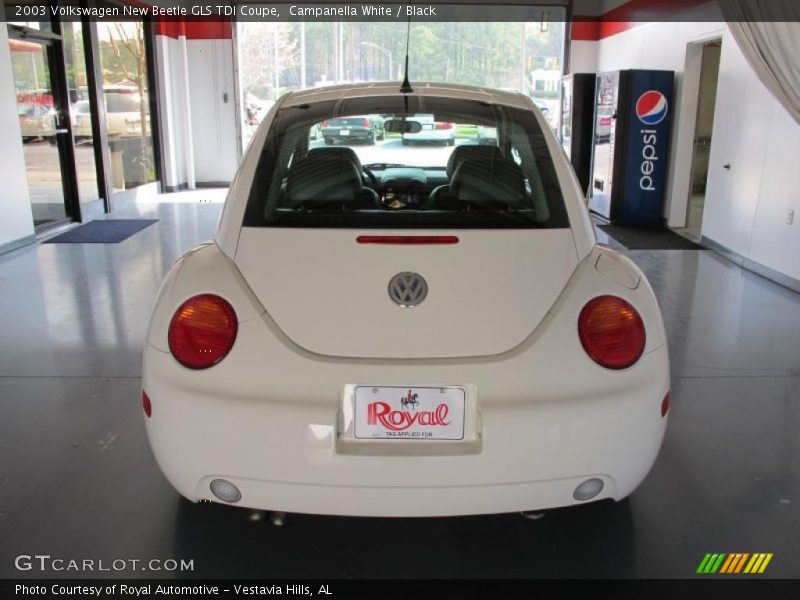 Campanella White / Black 2003 Volkswagen New Beetle GLS TDI Coupe