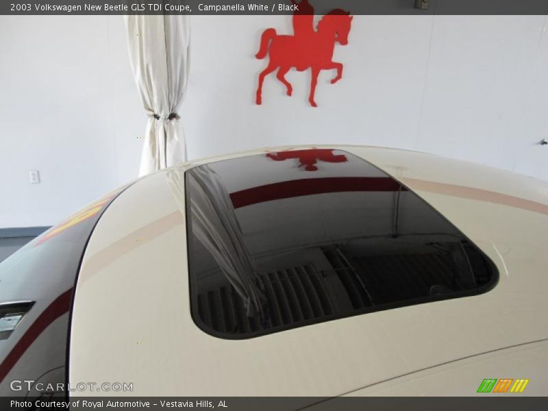 Campanella White / Black 2003 Volkswagen New Beetle GLS TDI Coupe