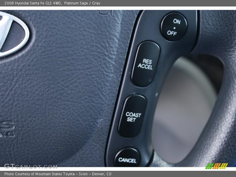 Platinum Sage / Gray 2008 Hyundai Santa Fe GLS 4WD