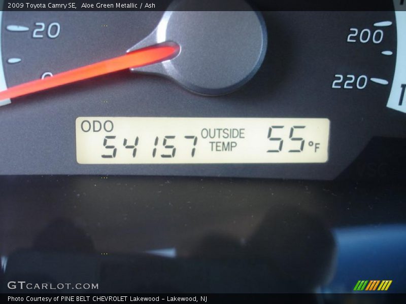 Aloe Green Metallic / Ash 2009 Toyota Camry SE