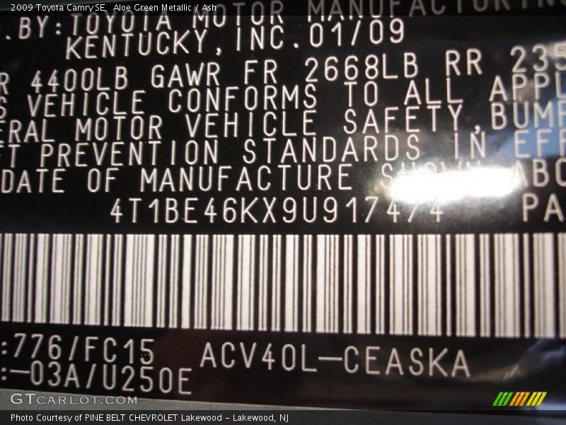 Aloe Green Metallic / Ash 2009 Toyota Camry SE