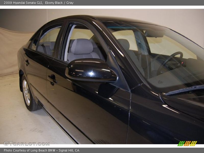 Ebony Black / Gray 2009 Hyundai Sonata GLS