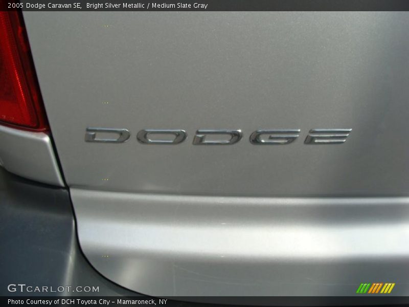Bright Silver Metallic / Medium Slate Gray 2005 Dodge Caravan SE
