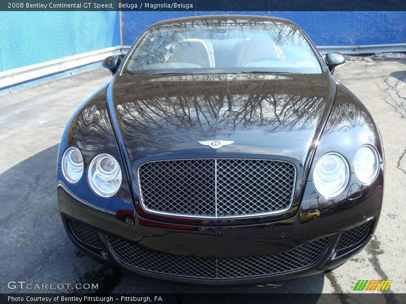 Beluga / Magnolia/Beluga 2008 Bentley Continental GT Speed