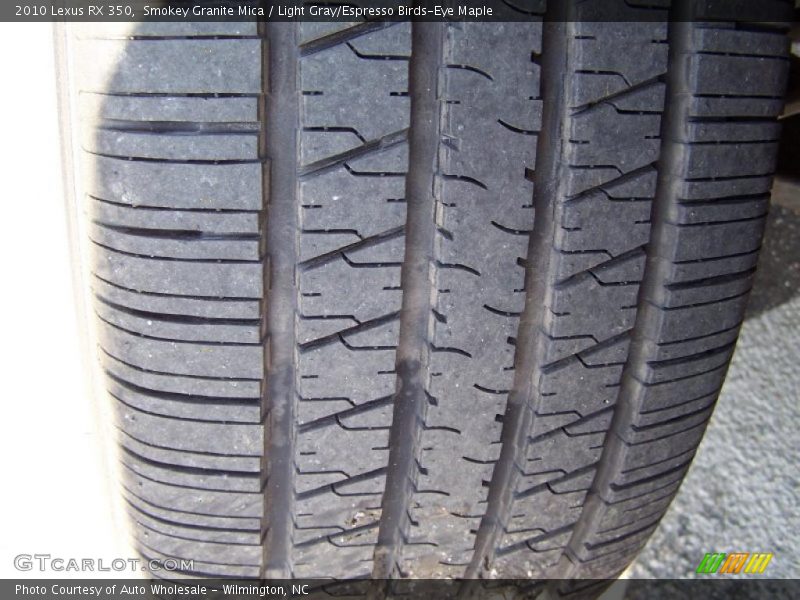 Smokey Granite Mica / Light Gray/Espresso Birds-Eye Maple 2010 Lexus RX 350