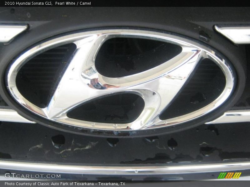 Pearl White / Camel 2010 Hyundai Sonata GLS