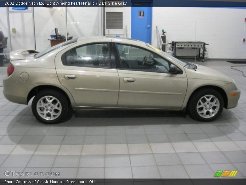 Light Almond Pearl Metallic / Dark Slate Gray 2002 Dodge Neon ES
