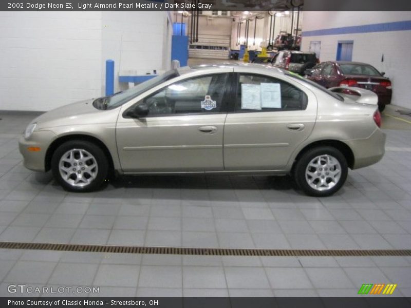 Light Almond Pearl Metallic / Dark Slate Gray 2002 Dodge Neon ES