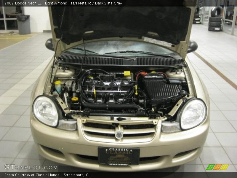 Light Almond Pearl Metallic / Dark Slate Gray 2002 Dodge Neon ES