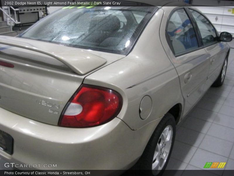 Light Almond Pearl Metallic / Dark Slate Gray 2002 Dodge Neon ES