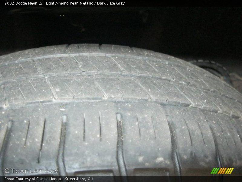 Light Almond Pearl Metallic / Dark Slate Gray 2002 Dodge Neon ES