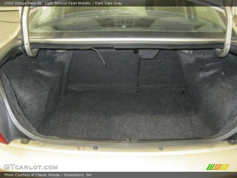 Light Almond Pearl Metallic / Dark Slate Gray 2002 Dodge Neon ES