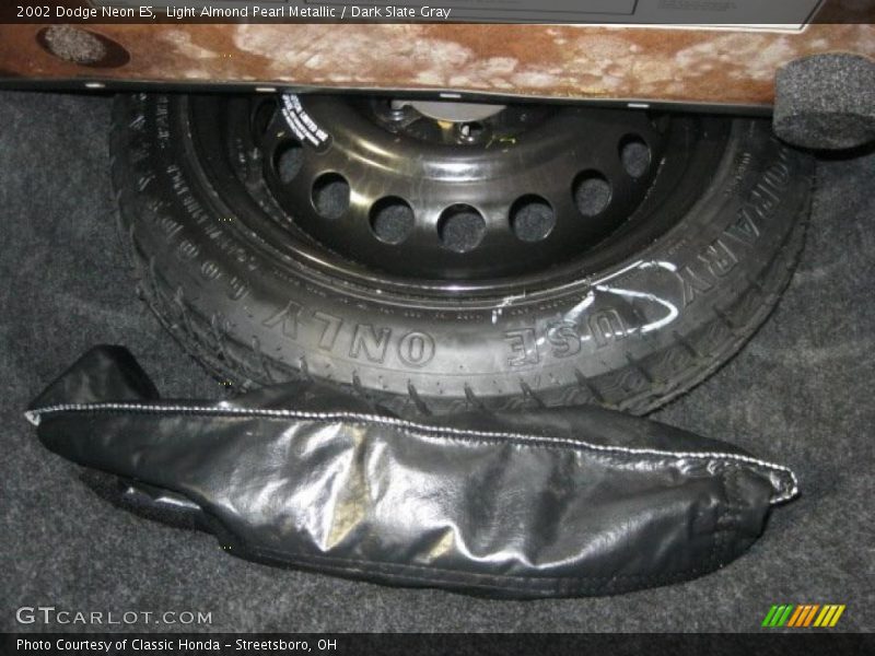 Light Almond Pearl Metallic / Dark Slate Gray 2002 Dodge Neon ES