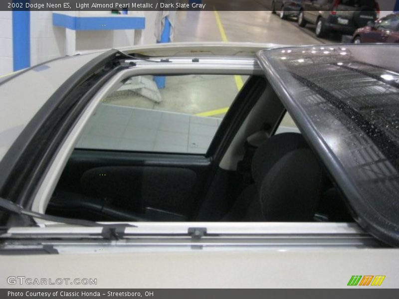 Light Almond Pearl Metallic / Dark Slate Gray 2002 Dodge Neon ES