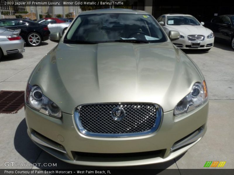 Winter Gold Metallic / Barley/Truffle 2009 Jaguar XF Premium Luxury