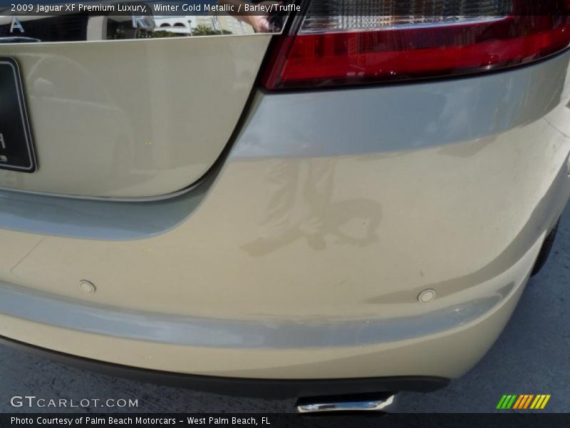 Winter Gold Metallic / Barley/Truffle 2009 Jaguar XF Premium Luxury